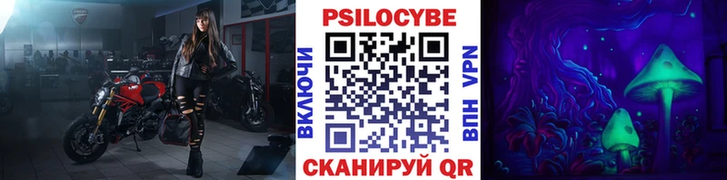 Псилоцибиновые грибы Psilocybe  МЕГА ONION  Новоалтайск 