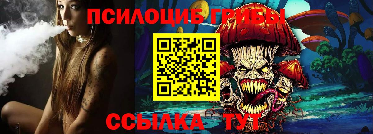 Псилоцибиновые грибы Psilocybine cubensis  Вход с VPN  Новоалтайск 