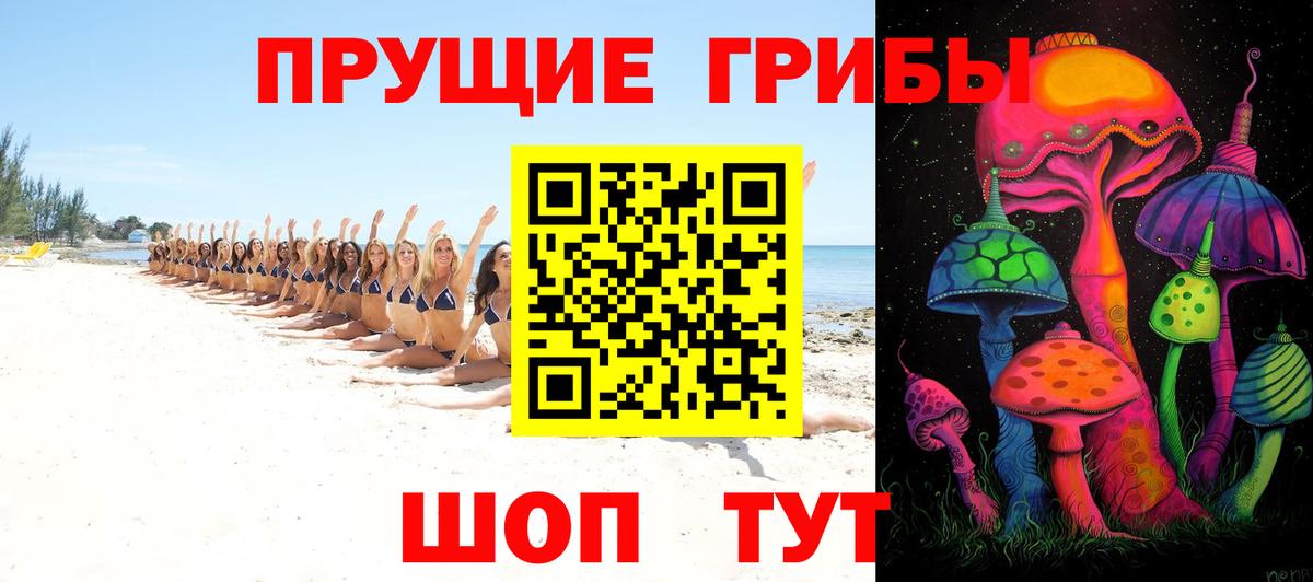 Псилоцибиновые грибы Cubensis Новоалтайск